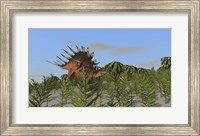Framed Kentrosaurus Grazing