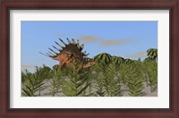 Framed Kentrosaurus Grazing