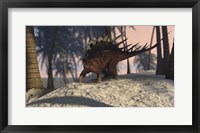 Framed Kentrosaurus Roaming in the Tropics