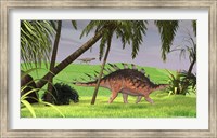 Framed Kentrosaurus Walking in Field