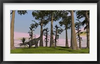 Framed Large Brachiosaurus Among Trees