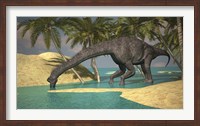 Framed Large Brachiosaurus Drinking Water