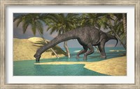 Framed Large Brachiosaurus Drinking Water