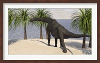 Framed Large Brachiosaurus Grazing on Trees