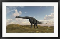 Framed Large Brachiosaurus in a Barren Evnironment