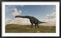 Framed Large Brachiosaurus in a Barren Evnironment