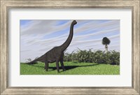 Framed Large Brachiosaurus in a Field