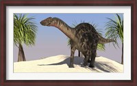 Framed Large Dicraeosaurus