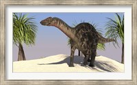 Framed Large Dicraeosaurus