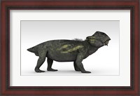 Framed Lystrosaurus