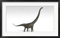 Framed Mamenchisaurus Dinosaur