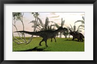 Framed Monolophosaurus and a Einiosaurus