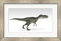 Framed Monolophosaurus Dinosaur