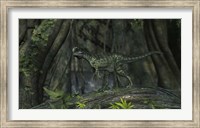 Framed Monolophosaurus in Woodlands