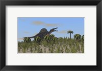 Framed Spinosaurus