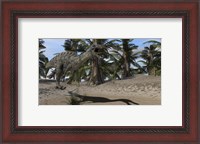 Framed Suchomimus Hunting