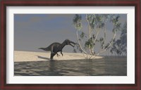 Framed Suchomimus Hunting for Food