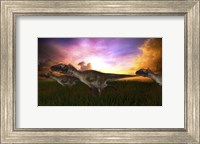 Framed Three Utahraptors Running at Sunset