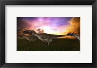 Framed Three Utahraptors Running at Sunset