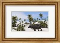Framed Triceratops in a Tropical Setting