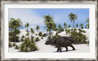 Framed Triceratops in a Tropical Setting