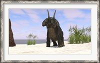 Framed Triceratops on a Beach