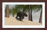 Framed Triceratops Walking in a Tropical Environment