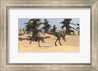 Framed Two Gigantoraptors in Desert Landscape