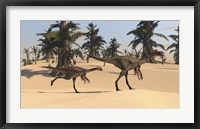 Framed Two Gigantoraptors in Desert Landscape