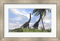 Framed Two Large Brachiosaurus Grazing