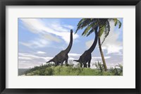Framed Two Large Brachiosaurus Grazing