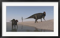 Framed Two Shuangmiaosaurus Dinosaurs