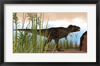 Framed Tyrannosaurus Rex Hunting for Meal