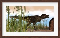Framed Tyrannosaurus Rex Hunting for Meal