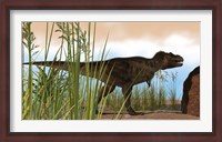 Framed Tyrannosaurus Rex Hunting for Meal