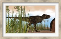 Framed Tyrannosaurus Rex Hunting for Meal