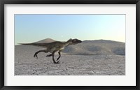 Framed Utahraptor