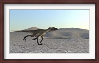 Framed Utahraptor