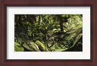 Framed Utahraptor in a Prehistoric Forest