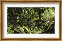 Framed Utahraptor in a Prehistoric Forest