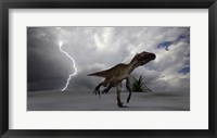 Framed Utahraptor Running Across a Desert