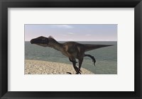 Framed Utahraptor Running by Bay