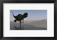 Framed Yangchuanosaurus