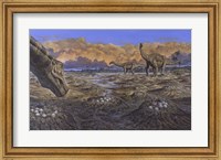 Framed Titanosaur