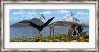 Framed Gigantic Quetzalcoatlus pterosaurs