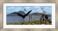 Framed Gigantic Quetzalcoatlus pterosaurs