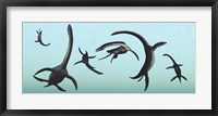 Framed Plesiosaurs Gather Underwater