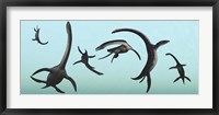 Framed Plesiosaurs Gather Underwater