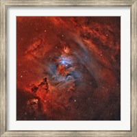 Framed Christmas Tree Nebula