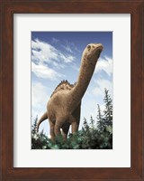 Framed Demandasaurus
